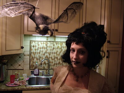 DSCF5902.JPG