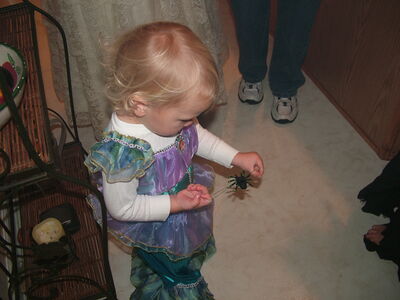 DSCF5953.JPG
