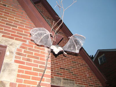 DSCF6009.JPG