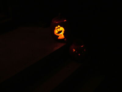 DSCF6015.JPG