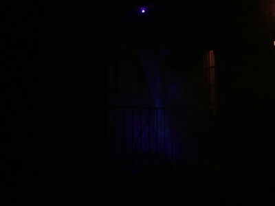DSCF6018.JPG