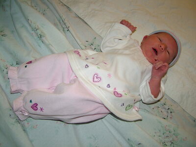 DSCF6048.JPG