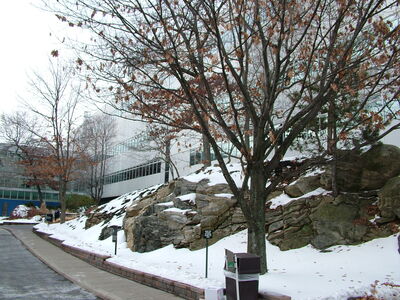 DSCF6140.JPG