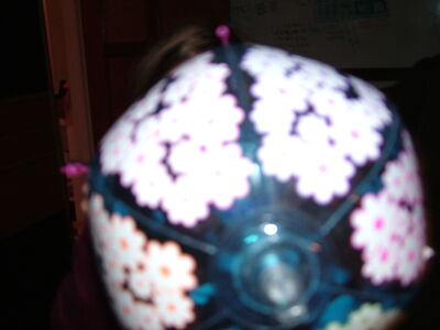 DSCF6146.JPG