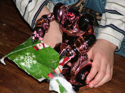 DSCF6231.JPG