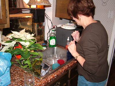 DSCF6238.JPG