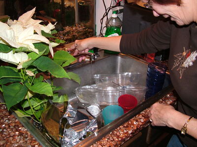 DSCF6239.JPG