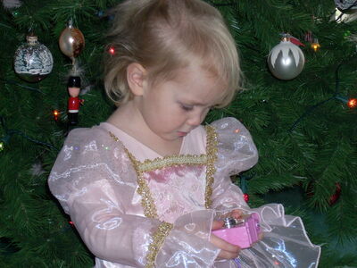 DSCN0342.JPG