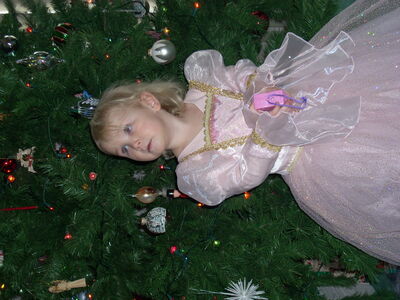 DSCN0343.JPG