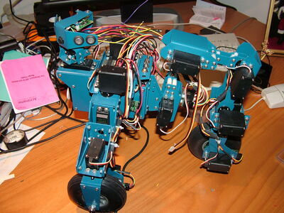 Robot