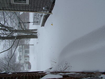 DSCF6366.JPG