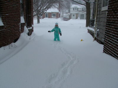DSCF6370.JPG