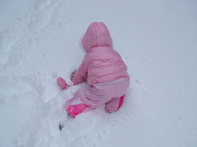 DSCF6372.JPG