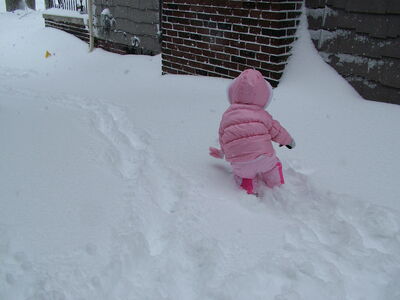 DSCF6373.JPG