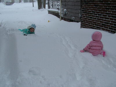 DSCF6374.JPG