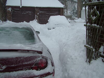 DSCF6379.JPG