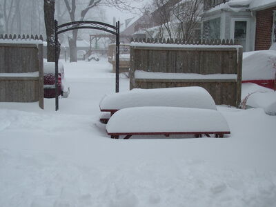 DSCF6381.JPG