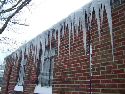 DSCF6382.JPG