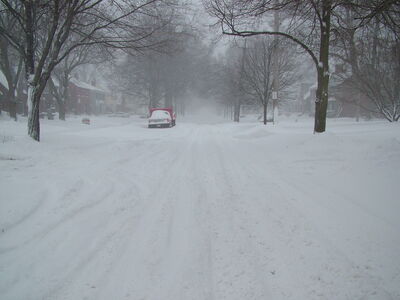 DSCF6389.JPG