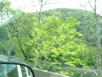 DSCF6429.JPG