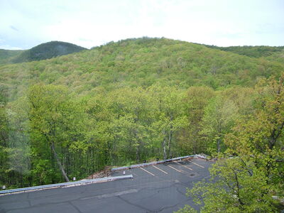 DSCF6441.JPG