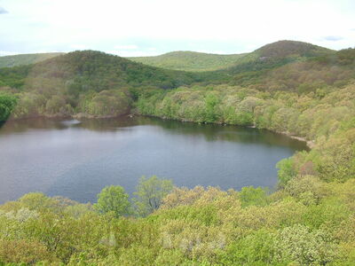 DSCF6442.JPG