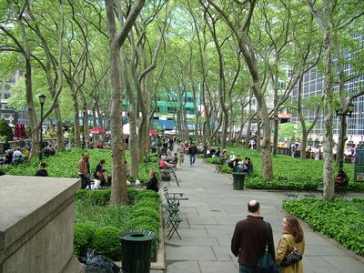 DSCF6462.JPG