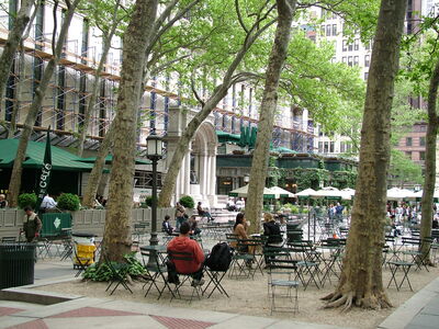 DSCF6464.JPG