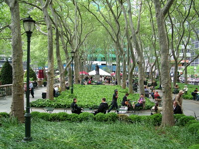 DSCF6465.JPG