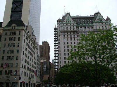 DSCF6479.JPG