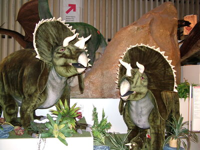 DSCF6481.JPG