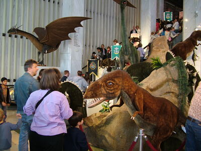 DSCF6483.JPG