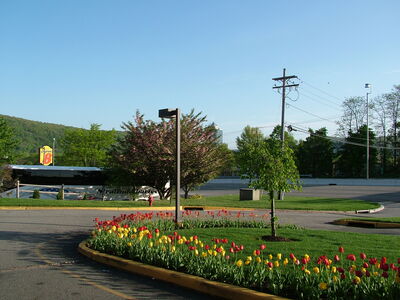 DSCF6503.JPG