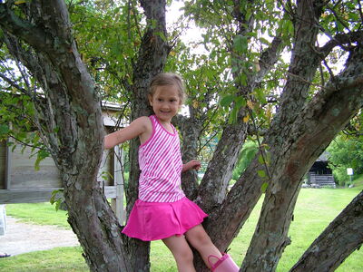 DSCF6603.JPG