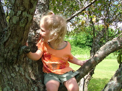 DSCF6613.JPG