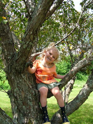 DSCF6615.JPG