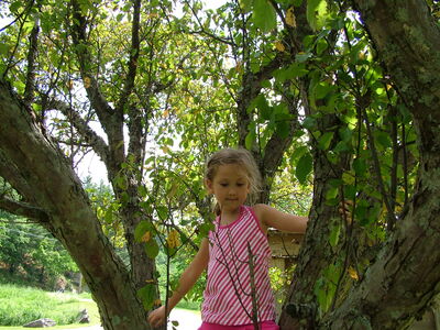 DSCF6619.JPG