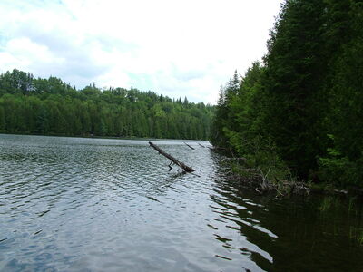 DSCF6620.JPG