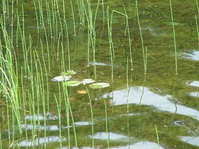 DSCF6622.JPG