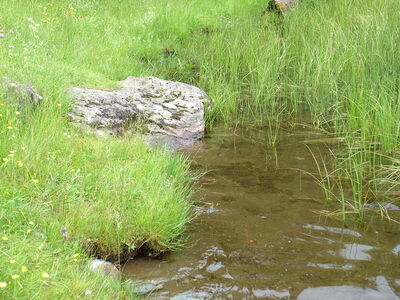 DSCF6623.JPG