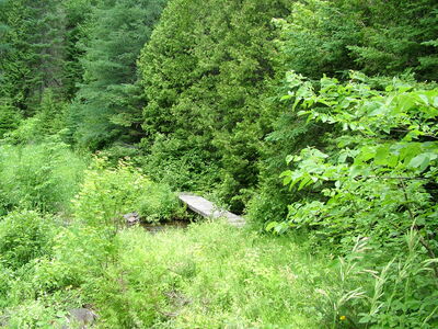 DSCF6625.JPG