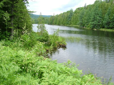 DSCF6627.JPG