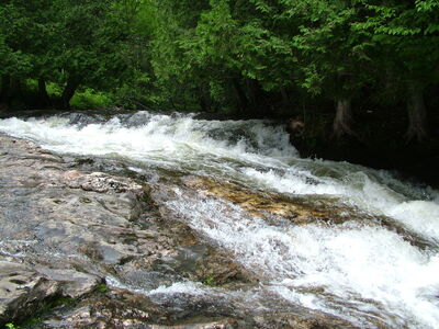 DSCF6630.JPG