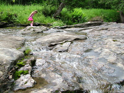 DSCF6631.JPG