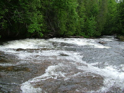 DSCF6633.JPG