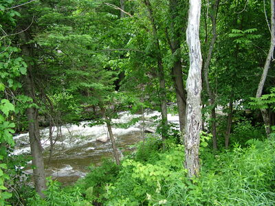 DSCF6640.JPG