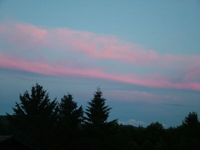 DSCF6656.JPG