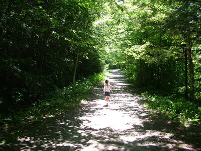 DSCF6666.JPG