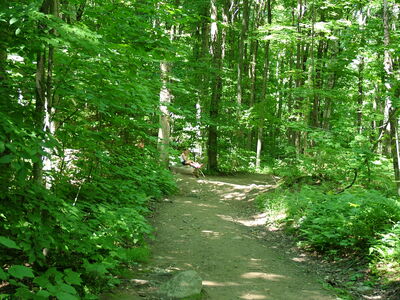 DSCF6671.JPG