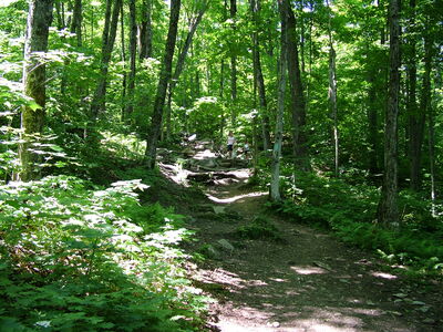 DSCF6672.JPG